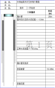 中海油某井表套與隔水管環空封堵